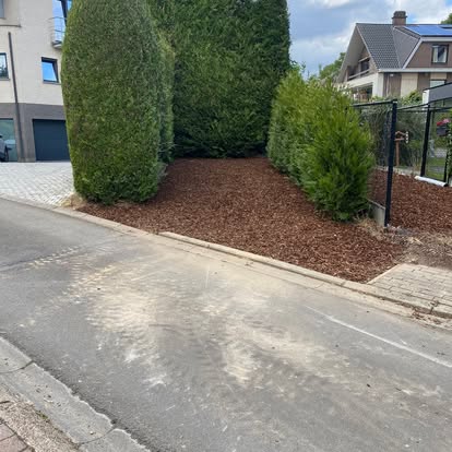Border met boomschors en coniferen langs een oprit